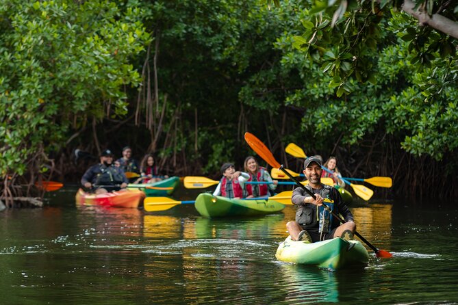 Bioluminescent Bay Night Kayaking Adventure in Puerto Rico - How wet, physical, and crowded is it?