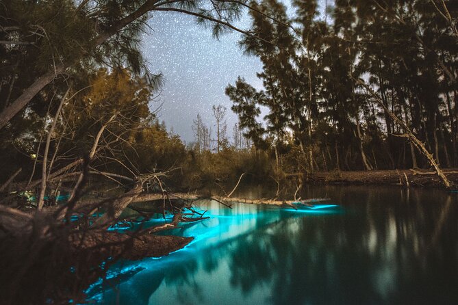 Bioluminescent Clear Kayak Tours in Titusville - Key points to know before you paddle