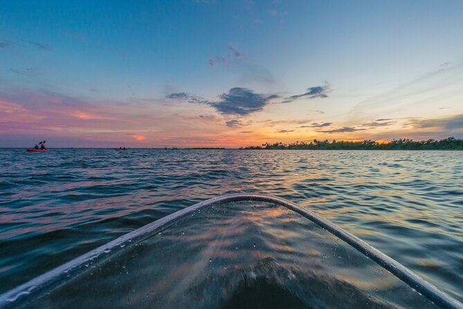 Bioluminescent Clear Kayak Tours in Titusville - Who will enjoy this most