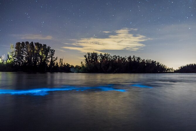 Bioluminescent Clear Kayak Tours in Titusville - What happens during the 90-minute outing