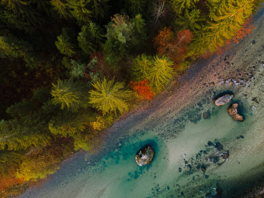 Bled: Sava River Kayaking Tour - Should you book the Bled kayaking tour?