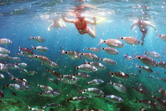 BOAT & KAYAK! Sea Adventure - Snorkeling & Cliff Jumps - A boat start at Marina Polesana