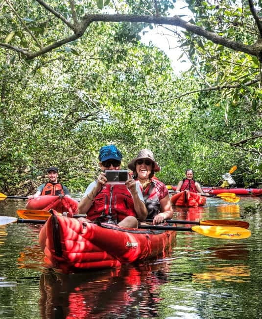 Bohol: SUSTAINABLE Mangrove Tunnels & Firefly Kayaking trail - The first paddle through mangroves and nipa palms