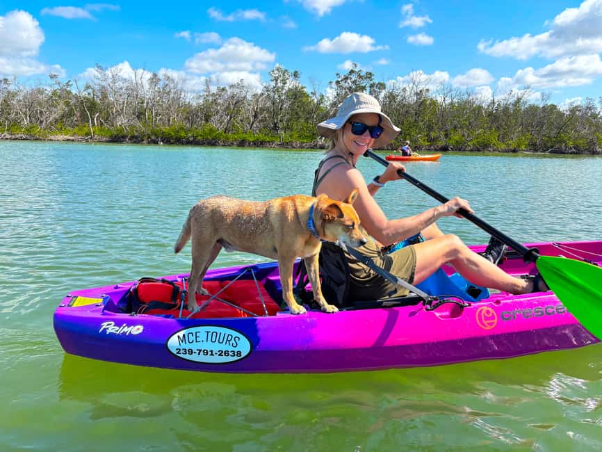 Bonita Springs Clear Kayak Tour with Dolphins & Manatees - Why clear kayaks change the view