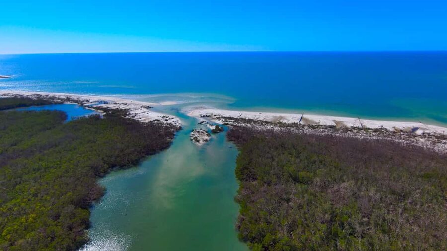 Bonita Springs Clear Kayak Tour with Dolphins & Manatees - How the guide can shape the whole outing