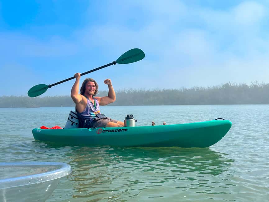 Bonita Springs Clear Kayak Tour with Dolphins & Manatees - Looking for manatees, dolphins, and coastal birds