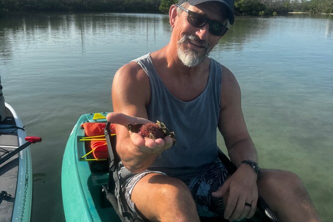 Bonita Springs Eco Kayak Tour – Best Gear, Premium&Clear Kayaks - Mangrove tunnels and quiet inlets