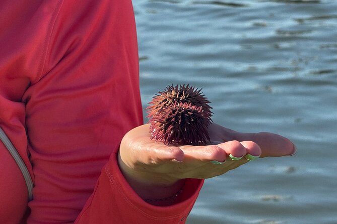 Bonita Springs Eco Kayak Tour – Best Gear, Premium&Clear Kayaks - Is $55 a fair price?