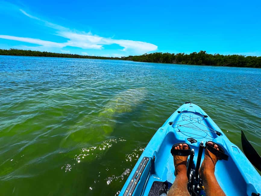Bonita Springs: Kayak Tour with Manatees, Dolphins Sightings - Getting comfortable in a Hobie pedal kayak