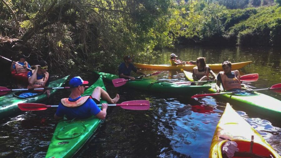 Bosa: Temo River Kayak Rental - Key points to know before you book
