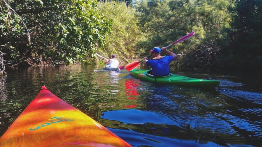 Bosa: Temo River Kayak Rental - How to choose your route