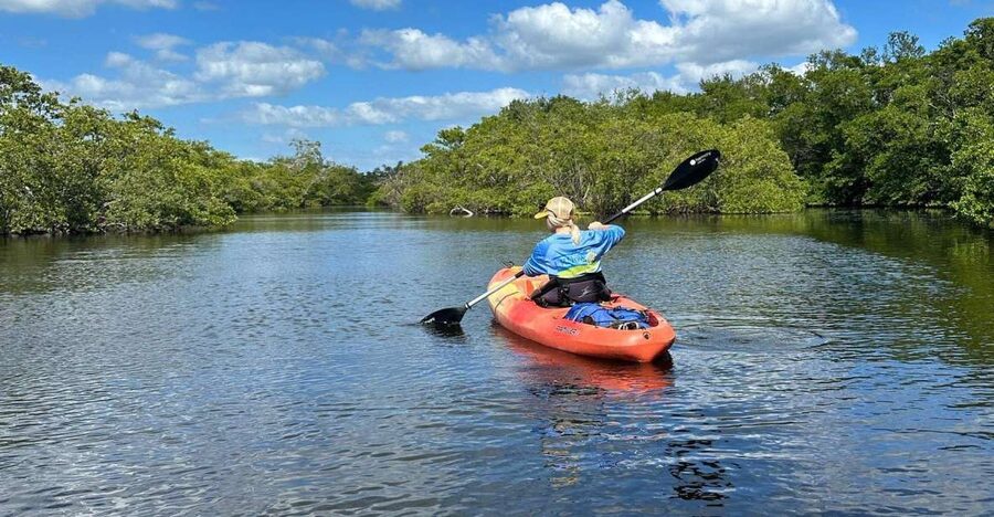 Bradenton: Anna Maria Island Guided Kayaking Manatee Tour - Weather and seasonal timing matter