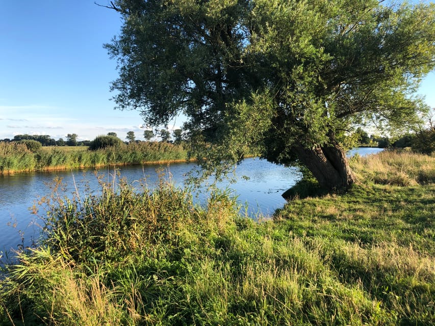 Bremen: Full-Day Kayak Rental on the Wümme River - What the $56 price gets you