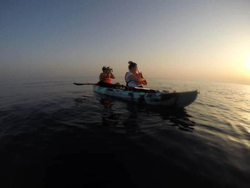 Brindisi: Kayaking at Sant'Andrea Island - What the guide adds to the experience