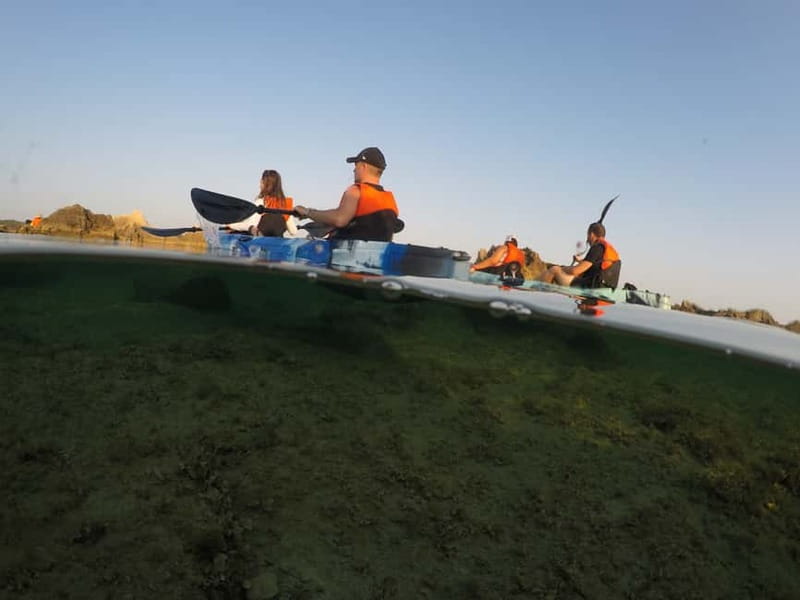 Brindisi: Kayaking at Sant'Andrea Island - Searching for turtles and dolphins