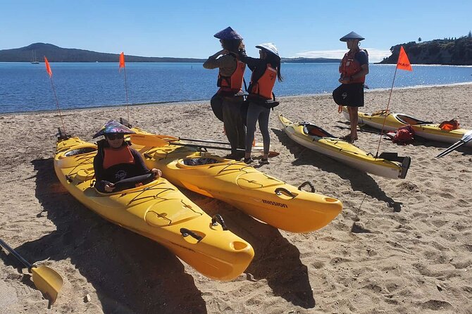 Browns Island Motukorea Sea Kayak Tour - The return paddle to St Heliers