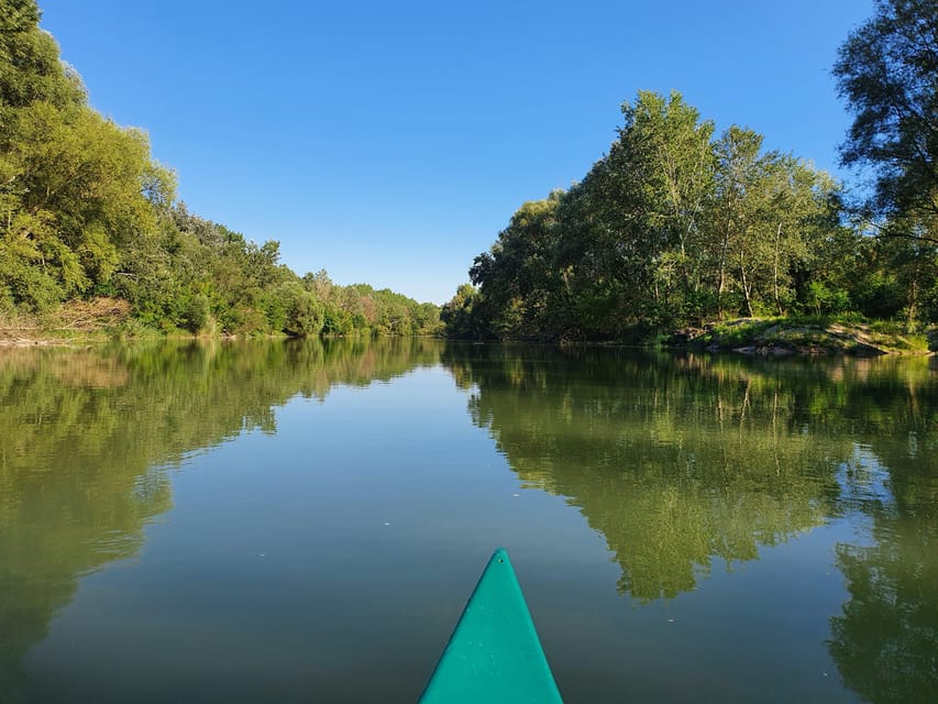 Budapest: Canoeing the Danube w or wo Sauna or Danube Beach - Paddling Around Islands on the Danube