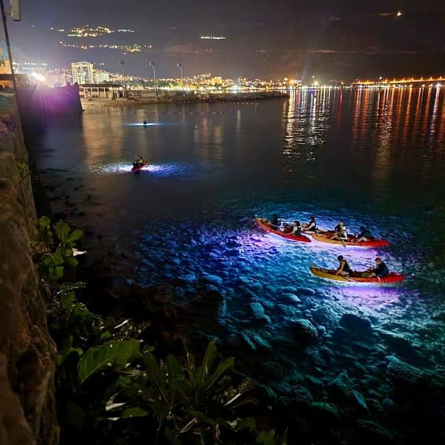 Budva: Night Lights Kayaking Tour - The first strokes under LED light