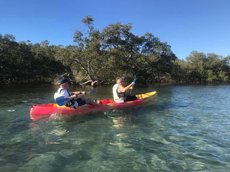 Byron Bay: Brunswick River Scenic Kayak Tour - Booking flexibility and timing