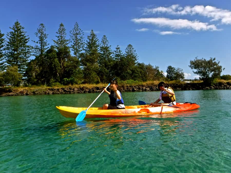 Byron Bay: Brunswick River Scenic Kayak Tour - Paddling through mangroves and clear water