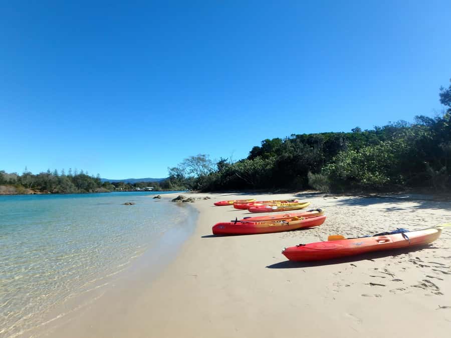 Byron Bay: Brunswick River Scenic Kayak Tour - What the $42 price includes