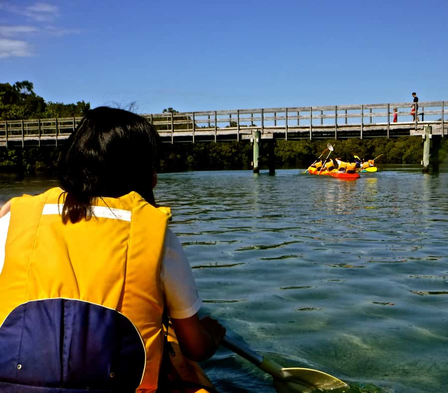 Byron Bay: Brunswick River Scenic Kayak Tour - Who will enjoy this river trip most