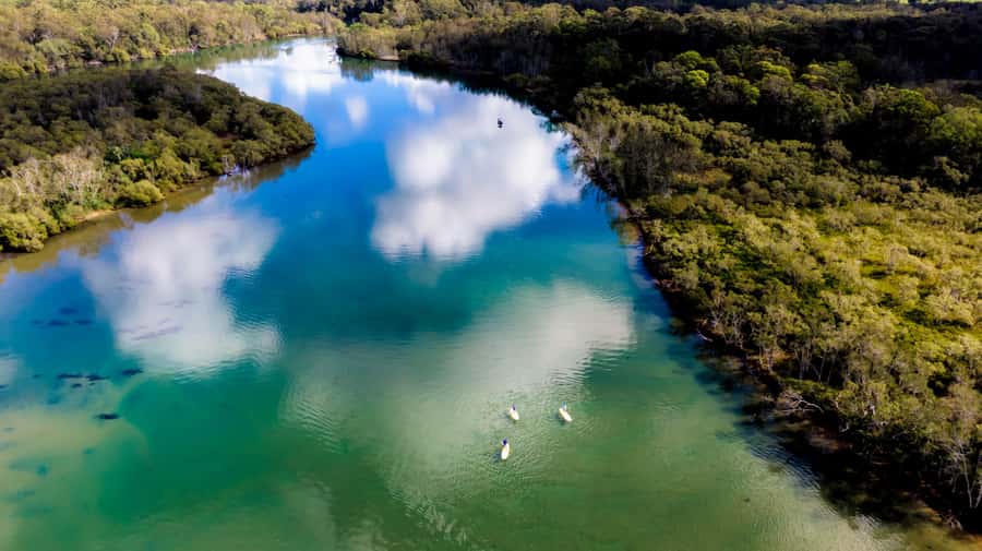 Byron Bay: Group 2.5 Hour Stand-Up Paddle Board Tour - The 2.5-hour lesson, step by step