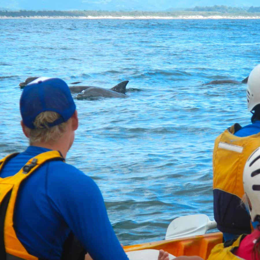 Byron Bay: The Byron Bay Sea Kayak Tour - Why this kayak trip feels different from a beach outing