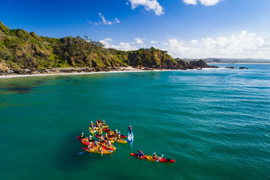 Byron Bay: The Byron Bay Sea Kayak Tour - Looking for dolphins, turtles and whales