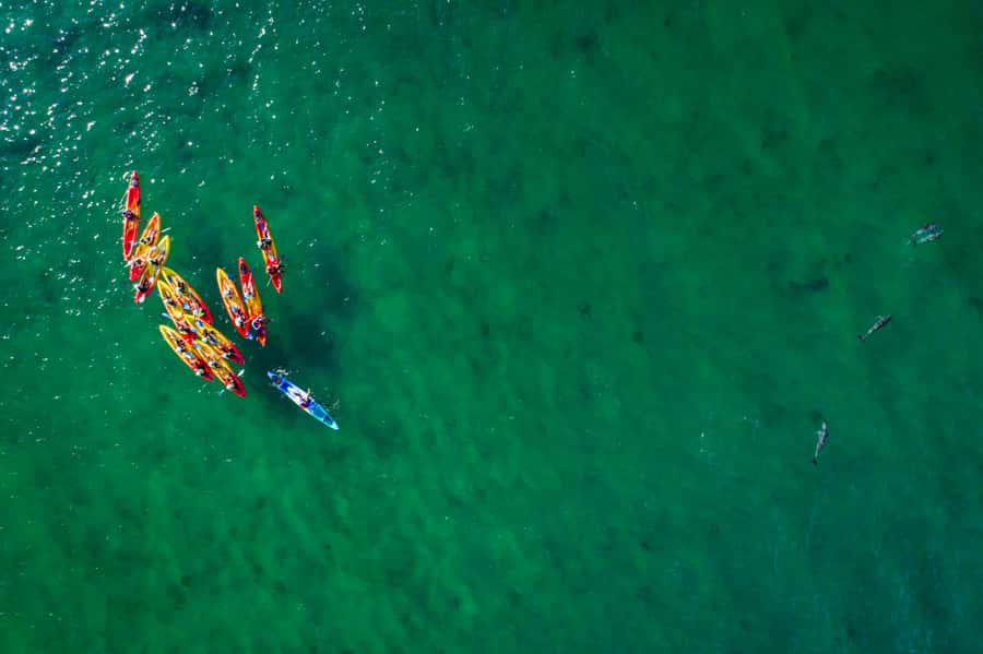 Byron Bay: The Byron Bay Sea Kayak Tour - The lighthouse and the easternmost point from sea level