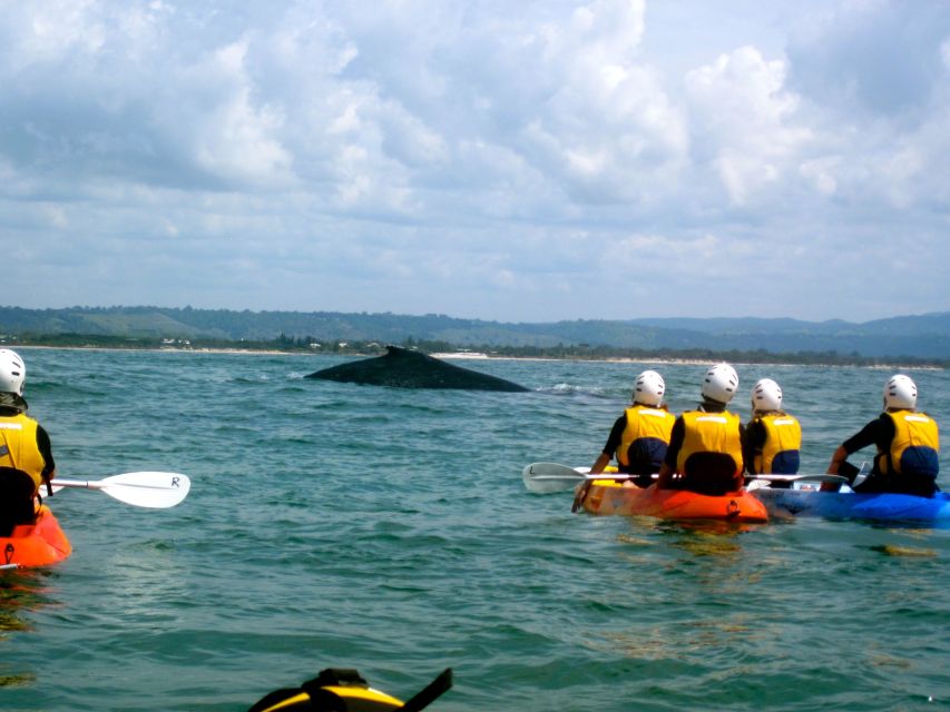 Byron Bay: The Byron Bay Sea Kayak Tour - The wave ride back to shore