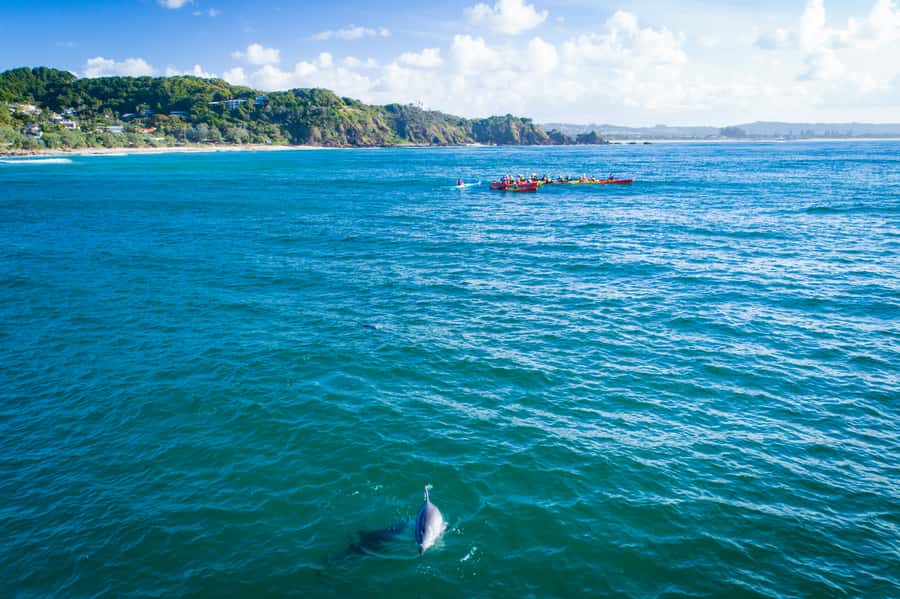 Byron Bay: The Byron Bay Sea Kayak Tour - How demanding is the paddling?