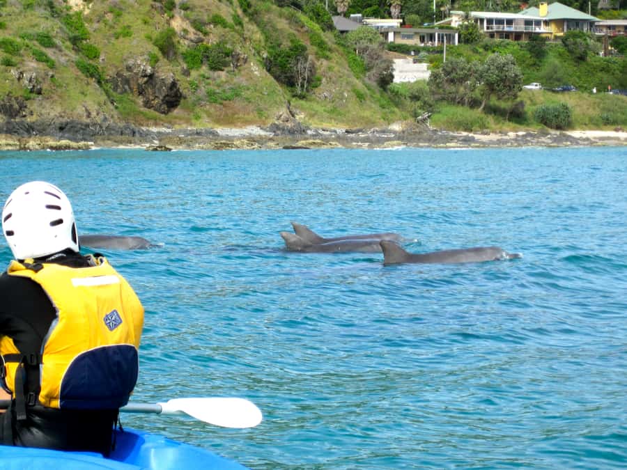 Byron Bay: The Byron Bay Sea Kayak Tour - What happens during the 150-minute outing