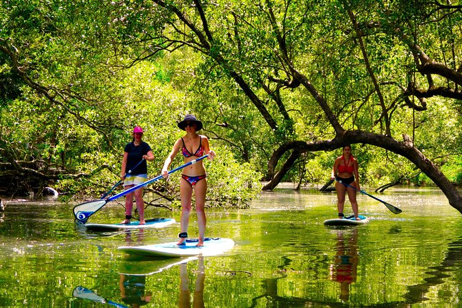 Byron Stand Up Paddle Nature Tour - Why the lesson matters for beginners