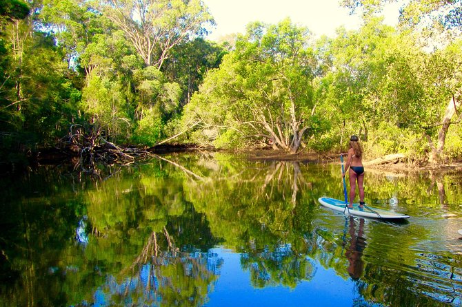 Byron Stand Up Paddle Nature Tour - Is the $71.01 price fair?