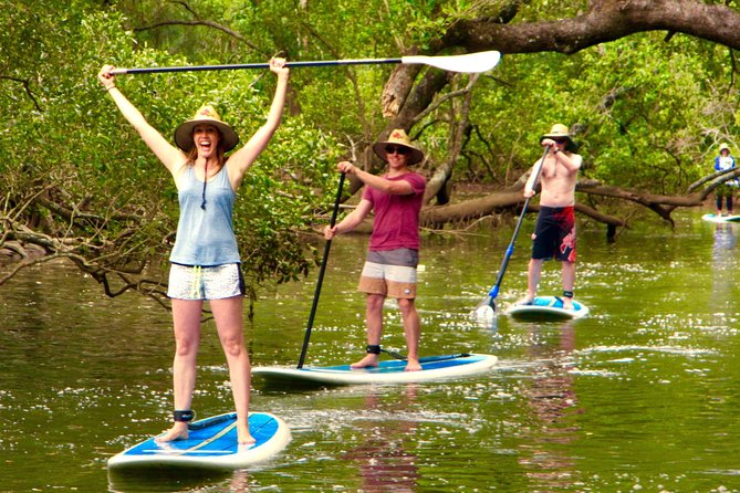 Byron Stand Up Paddle Nature Tour - What happens during the two-hour paddle