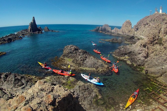 Cabo de Gata Active. Guided kayak and snorkel route through coves of the Natural Park - The snorkel stop and what you might see