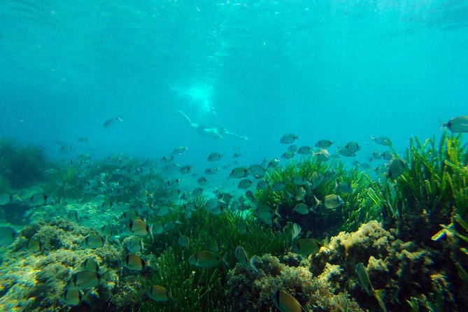 Cabo de Gata Active. Guided kayak and snorkel route through coves of the Natural Park - Guide quality and the feel of the group