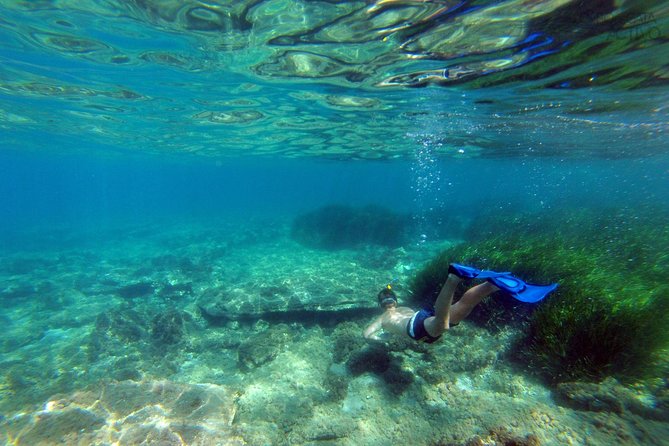 Cabo de Gata Active. Guided kayak and snorkel route through coves of the Natural Park - Price and what you receive for $54.42