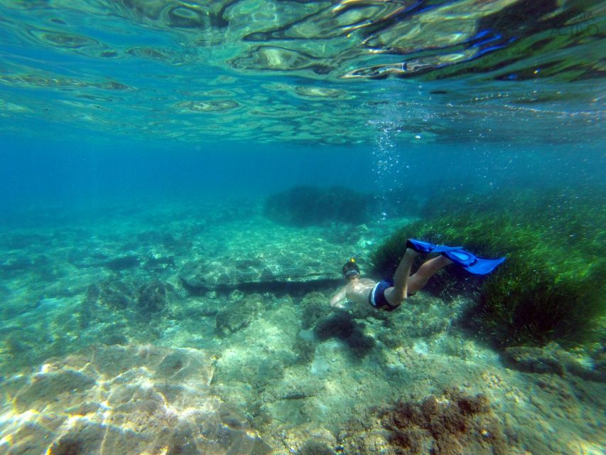 Cabo de Gata: Natural Park Kayaking and Snorkel Excursion - Thirty minutes for swimming and snorkeling
