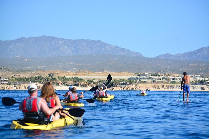 Cabo San Lucas Glass Bottom Kayak Tour and Snorkel at Two Bays - The glass-bottom kayak feature