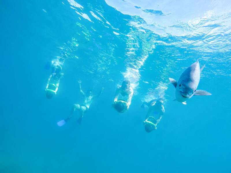 Cabo San Lucas: Snorkel, Paddle-board, and/or Kayak Tour - Key points before you book