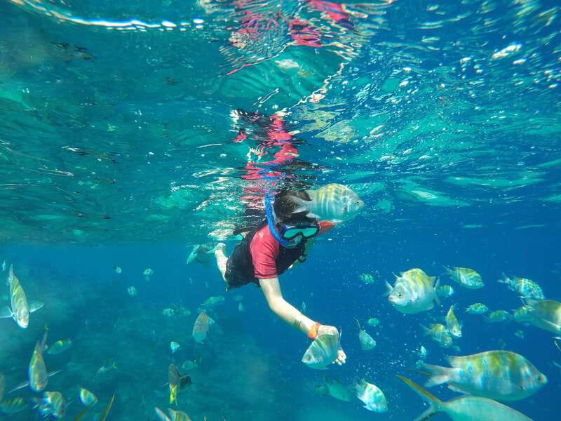 Cabo San Lucas: Snorkel, Paddle-board, and/or Kayak Tour - Kayaking, paddleboarding, and the sea scooter