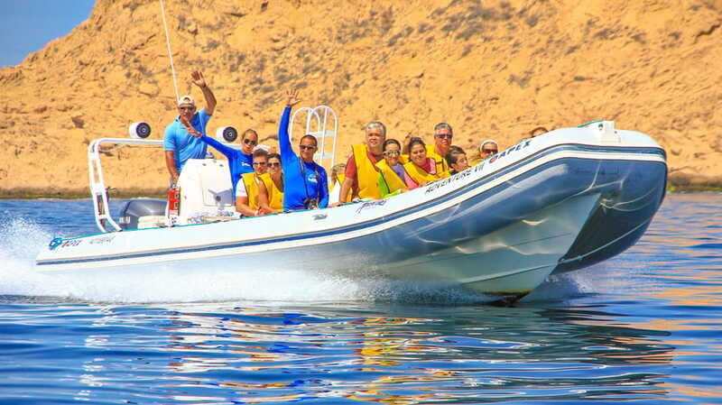 Cabo San Lucas: Snorkel, Paddle-board, and/or Kayak Tour - The bay cruise, sea lions, and El Arco
