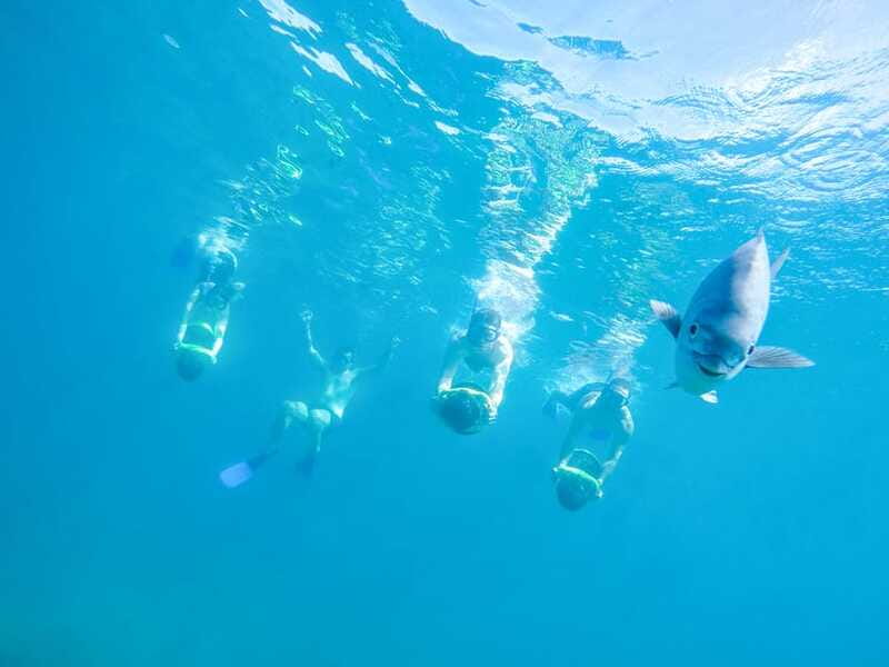 Cabo San Lucas: Snorkel, Paddle-board, and/or Kayak Tour - Who will enjoy this outing most