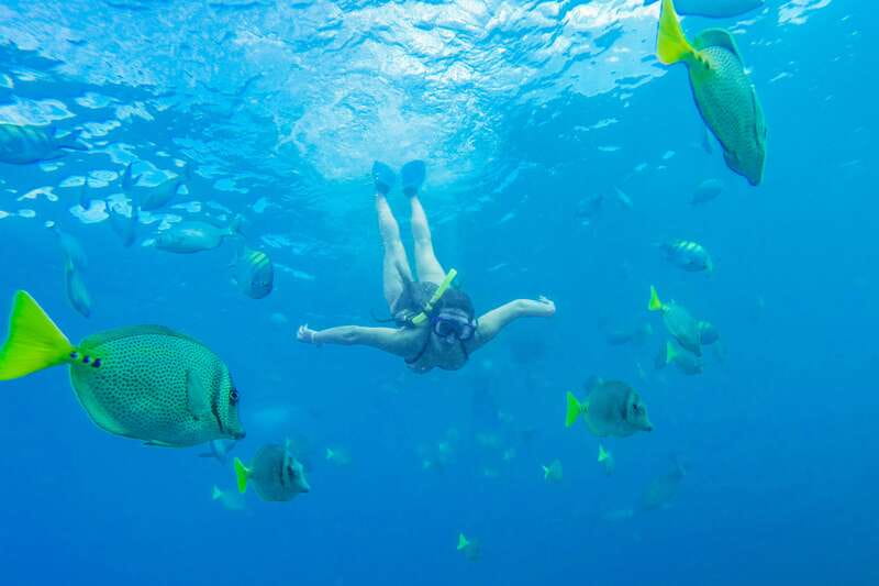 Cabo San Lucas: Snorkel, Paddle-board, and/or Kayak Tour - The van ride from San José del Cabo