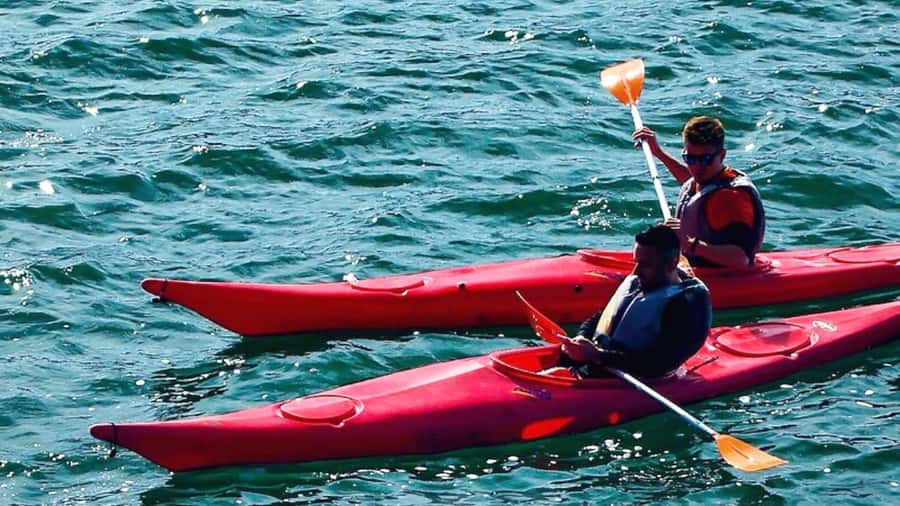 Cairo: Private Nile Kayaking Adventure with hotel transfers. - What the scenery is really like