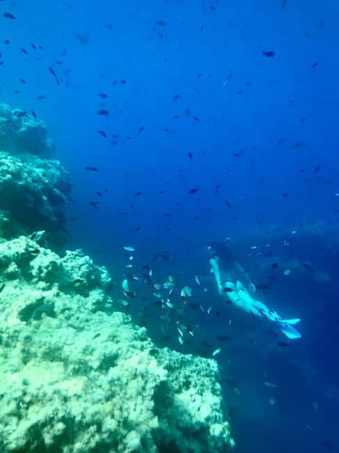 Cala Codolar: Sea & Caves Kayaking Tour with Snorkeling - Morning calm or sunset and cava