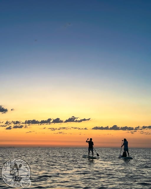 Cala Ratjada: Stand Up Paddle Sunrise Tour - Key points to know before sunrise