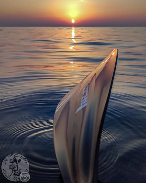 Cala Ratjada: Stand Up Paddle Sunrise Tour - Why this sunrise paddle feels different